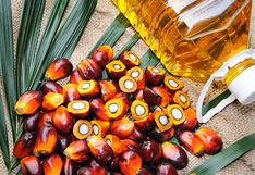 ¿El aceite de palma es realmente bueno para la salud?