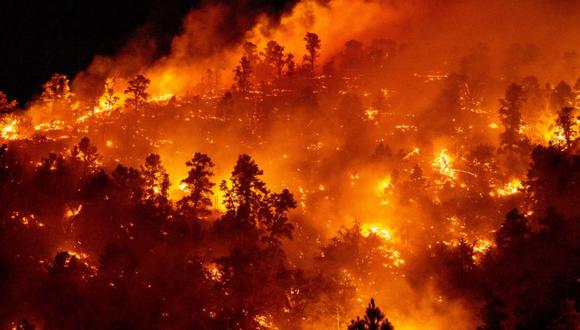 El incendio forestal Sheep Fire arde a través de un bosque en una ladera cerca de casas en Wrightwood, California, EE.UU.