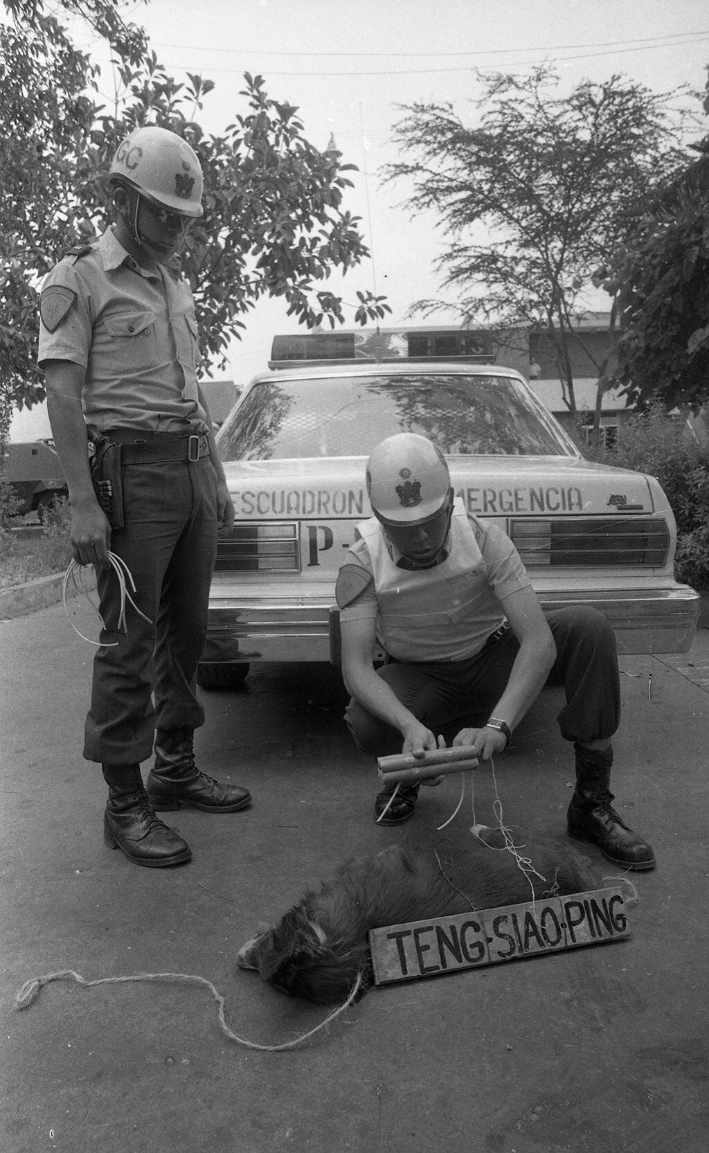 En la fotografía, tomada el 26 de diciembre de 1980, efectivos de la Guardia Civil (GC) examinan falsos cartuchos de dinamita puestos en perros muertos dejados en las calles de Lima. (Foto: GEC Archivo Histórico)