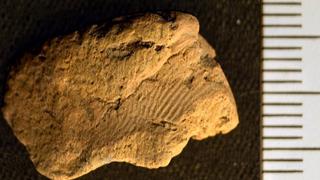 Hallan una huella dactilar de 5.000 años en una cerámica neolítica