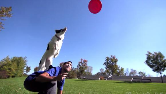 YouTube: perro te asombrará con sus increíbles acrobacias