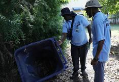 Casos de dengue, zika y chikunguña en Honduras disminuyen un 94 % este año