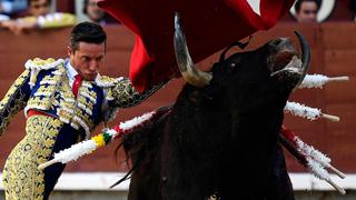 Las corridas de toros, "ritual" para unos y "arte de matar" para otros | FOTOS