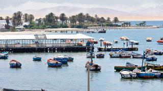 Población se opone a puerto de Paracas: temen daño ecológico