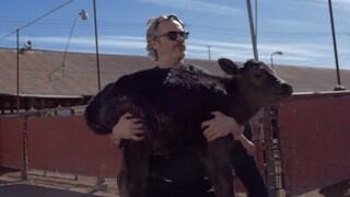Joaquin Phoenix y el impactante video en un matadero junto a una vaca y su cría que conmueve al mundo 
