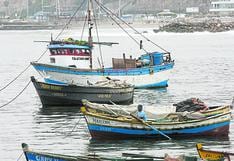 Gobierno aprueba programa para impulsar compras de pescados y mariscos a pescadores artesanales