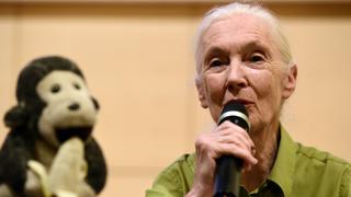 Jane Goodall confía en los jóvenes para un cambio global