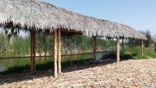 MML organiza evento de cuatro días para avistar aves en los Pantanos de Villa