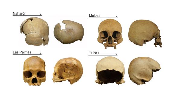 Tanto Mark Hubbe como Alejandro Terrazas Mata, de la Universidad Nacional Autónoma de México, encontraron una diversidad "inesperadamente alta" entre los cráneos de cuatro personas que vivieron hace entre 9000 y 13000 años, es decir, en el Pleistoceno tardío y Holoceno temprano. (Foto: PLOS One)