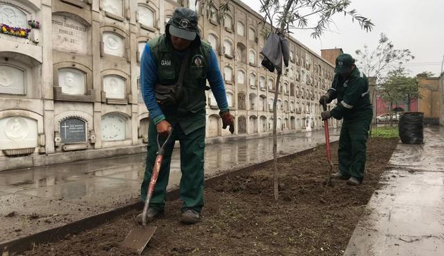 El plan Áreas Verdes se aplica desde puerta 1 hasta la puerta 5. (Difusión)