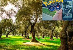 San Isidro: "Amanecida Pokémon" en El Olivar no tiene autorización