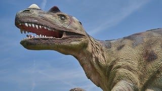 ¿Existieron los T-Rex enanos? La ciencia aclara el misterio