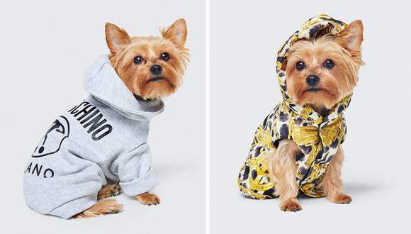 La colección canina contará con diseños originales para hacer frente al invierno. (Foto: Instagram/ @moschino)