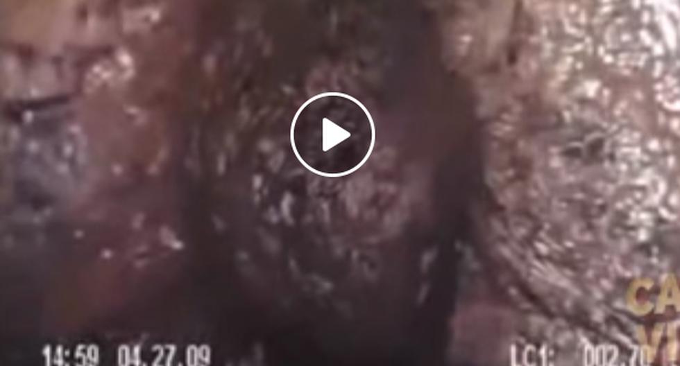 YouTube nos trae un video que ha atemorizado a todas las redes sociales y es que un extraño ser apareció pegado en los muros de las alcantarillas de Estados Unidos. (Foto: captura)