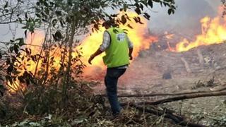 Gobierno declara en emergencia distritos por incendio forestal