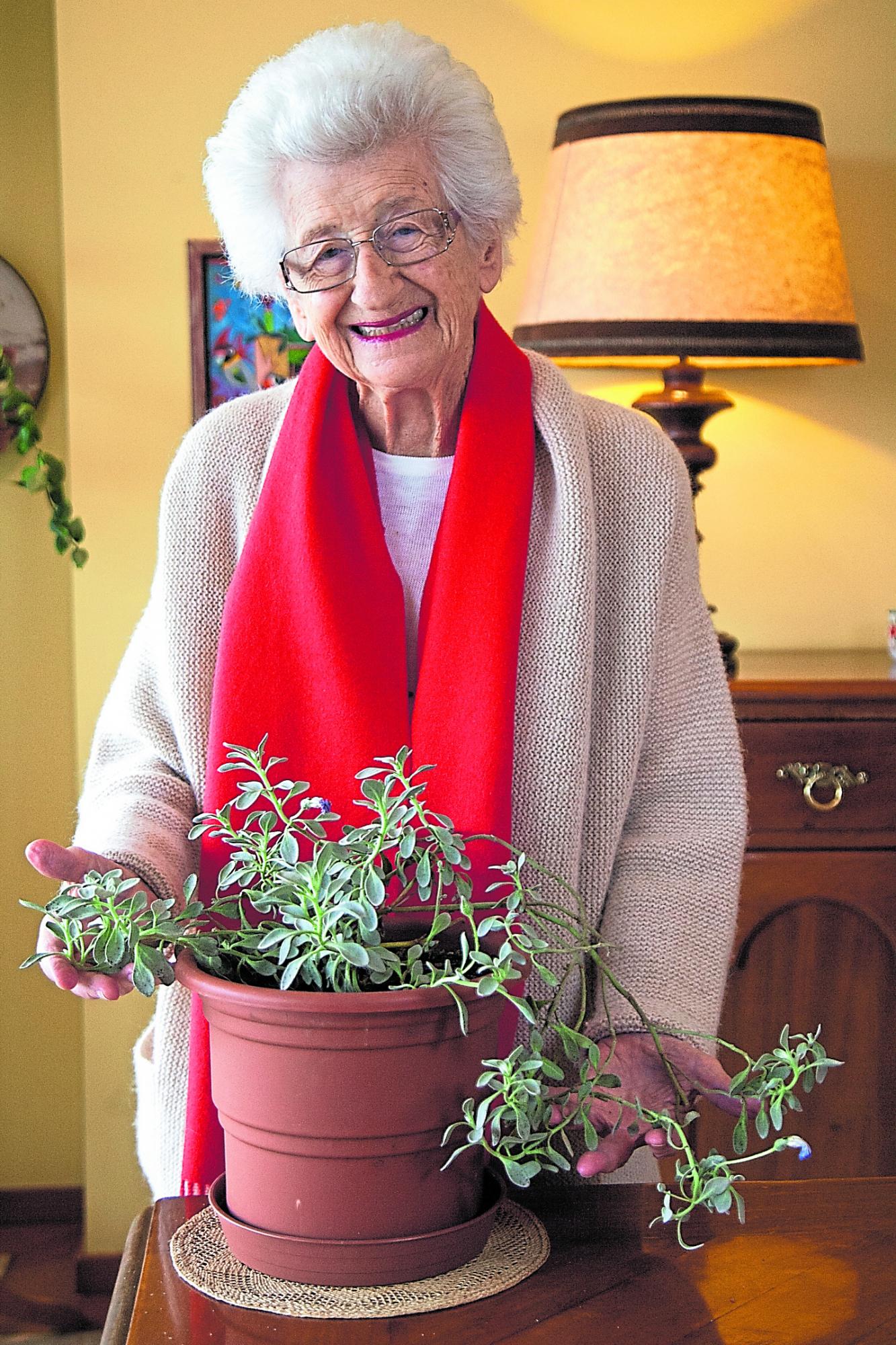 Desde hace 25 años, María Angélica Matarazzo y otros profesionales buscan sembrar el Jardín Botánico Nacional de Lima. (Foto: Eduardo Cavero)