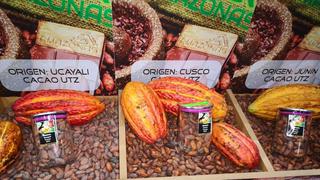 Salón del Cacao y Chocolate: evento se realizará de forma virtual