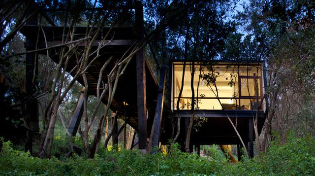 De lujo: Mira este exclusivo loft en pleno bosque de Chile - 6