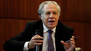 OEA: Luis Almagro dice que el mayor problema para la democracia son los “burros” que gobiernan