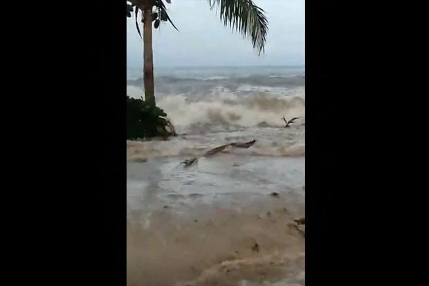 Tsunami en Tonga. (EMOSI KERESONI - @Emosi Keresoni).