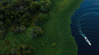 5 cosas que debes saber sobre la Amazonía, el tesoro ecológico amenazado por el fuego