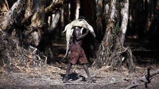 Los aborígenes australianos y su tradición de cazar cocodrilos