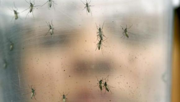 Detectan caso de zika en un hospital de Dinamarca