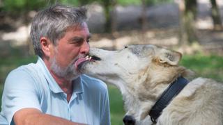 Empresarios conviven con lobos para "despertar al animal que llevan dentro" [FOTOS]