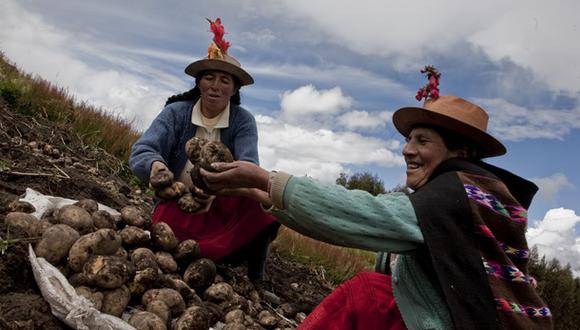 Gastronomía peruana y los retos para el nuevo gobierno