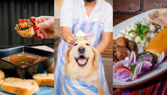Descubre qué sitios puedes visitar para disfrutar una buena comida en compañía de tus mascotas. ¡Toma nota!