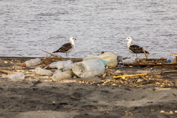 Medio ambiente | Un mar de basura: conoce a los documentalistas que