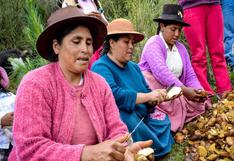 Cusco: unas 150 familias inician comercialización de hongos andinos
