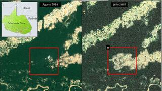 Mira la gran deforestación en la Amazonía en Perú