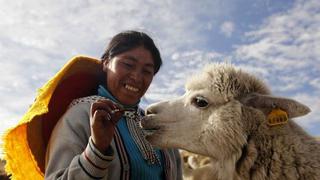 Anticuerpos de las llamas podrían ayudar a combatir el VIH