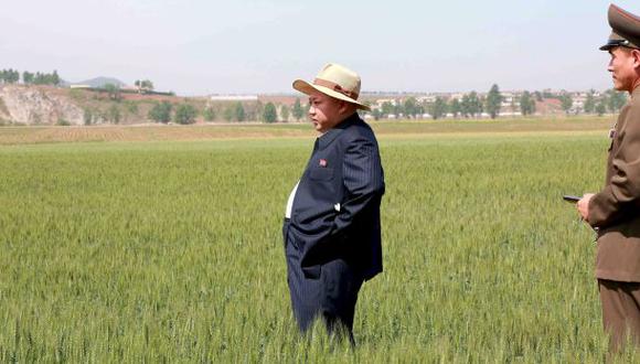 Corea del Norte sufre su peor sequía en 100 años