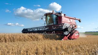 Ucrania solo firmará acuerdo sobre desbloqueo de las exportaciones de cereales con la ONU y Turquía 
