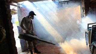 Piura: con 500 máquinas fumigadoras buscan exterminar el dengue
