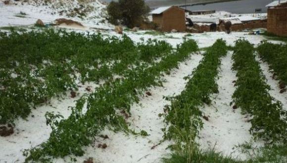Granizo y lluvias afectaron campos de cultivo en el distrito de Sincos, en la región Junín. (Foto: referencial)
