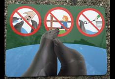 Zoo de Viena prohíbe el paloselfi en recintos de focas y pingüinos
