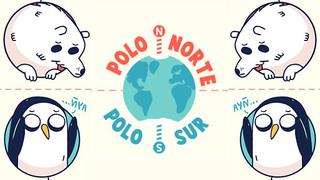 Las diferencias que debes conocer del polo norte y el sur