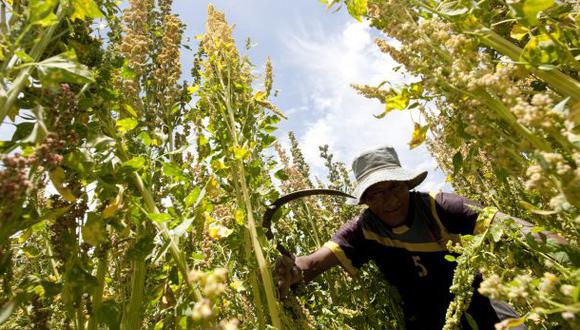 La agricultura hizo más frágiles los huesos humanos