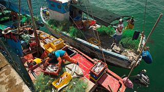 Pescadores artesanales de Piura y Tumbes piden que se reanuden actividades extractivas de merluza