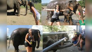 [Blog] Una experiencia para recordar al lado de elefantes