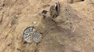 Una niña con un detector de metales halla un tesoro de monedas vikingas en Dinamarca