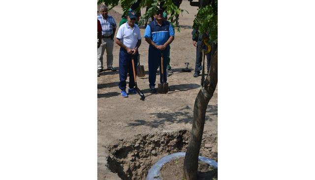 El bosque está ubicado en un terreno de 3 hectáreas del Cuartel General del Ejército y se convertirá en un nuevo ‘pulmón verde’ para Lima. (Ejército Peruano)