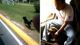 YouTube: perro no deja de perseguir a su dueño que va en combi