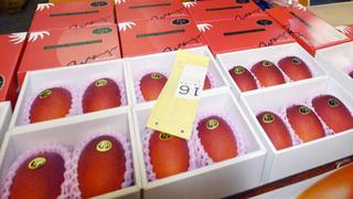 Japón: Subastan dos mangos por precio récord de 2.000 dólares