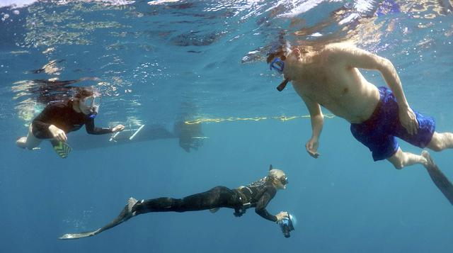 ¿Nadarías con tiburones? Atrévete a hacerlo en Hawái - 9