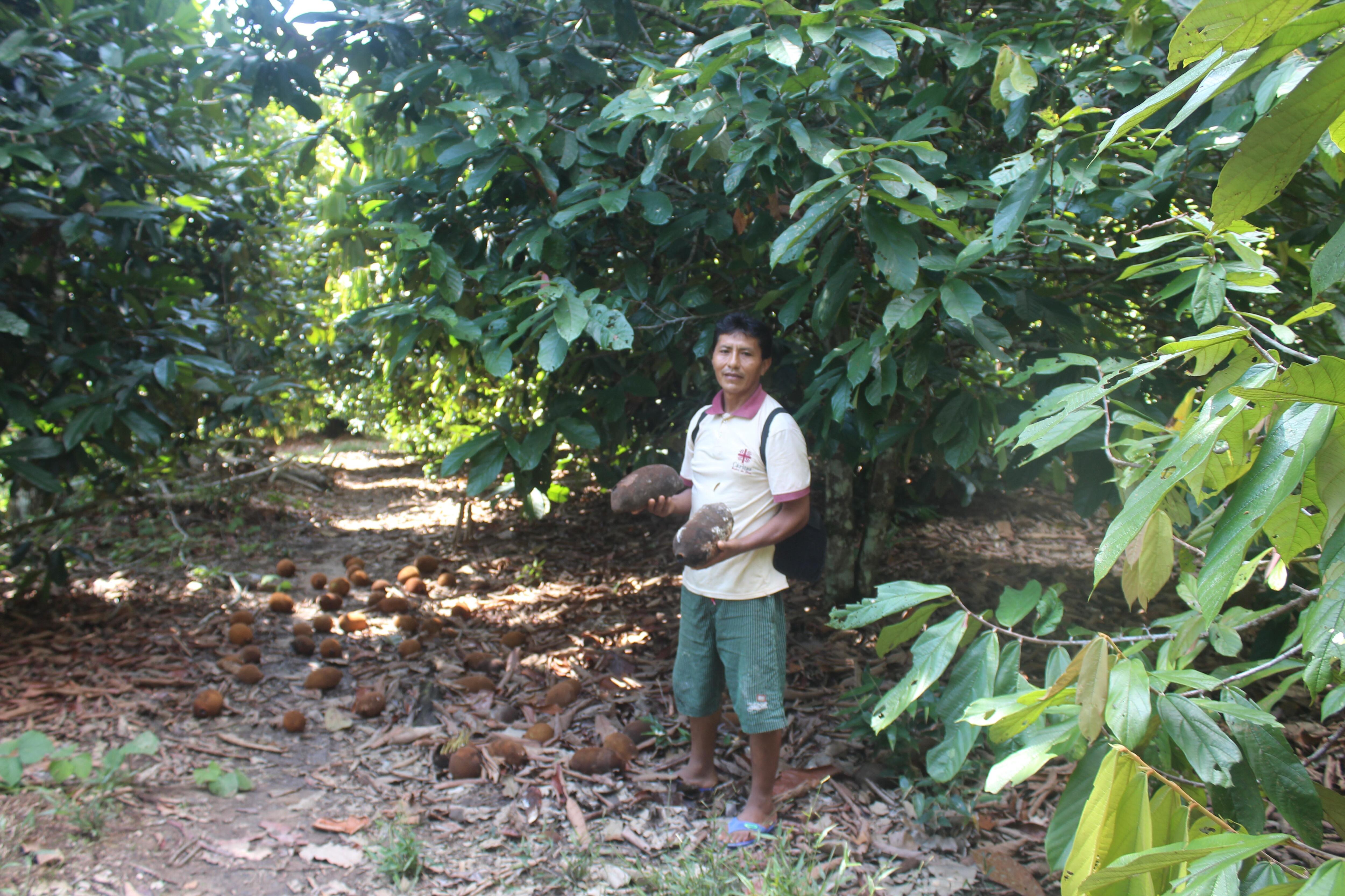 (Foto: Manuel Calloquispe)