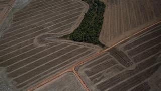 ¿Amazonía en el punto de no retorno?: Brasil y Bolivia son los países con mayor deforestación y degradación de sus bosques